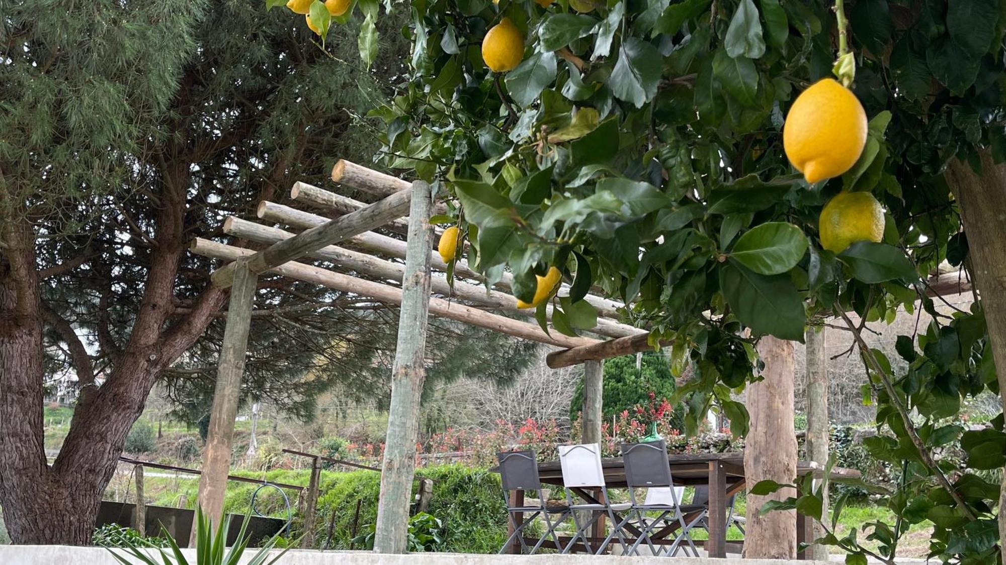 Villa Quinta Da Luena *